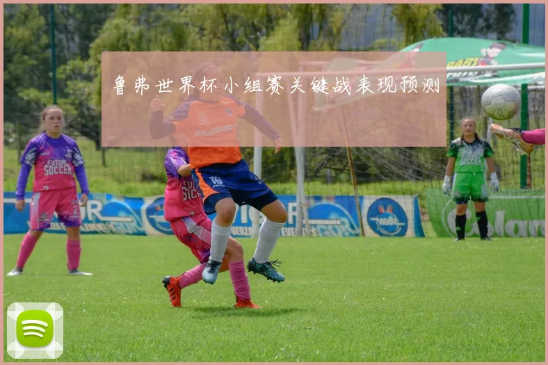 鲁弗世界杯小组赛关键战表现预测