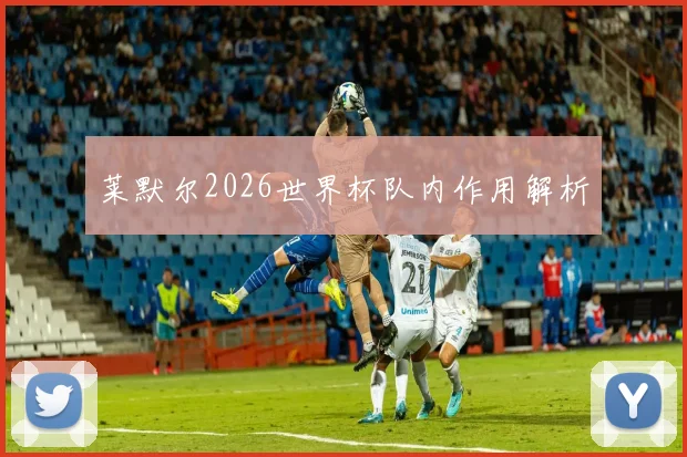 莱默尔2026世界杯队内作用解析