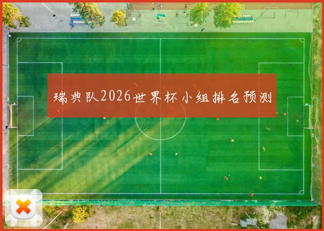 瑞典队2026世界杯小组排名预测