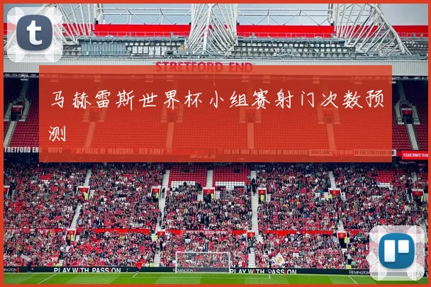 马赫雷斯世界杯小组赛射门次数预测