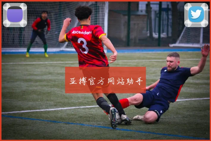 亚搏官方网站助手