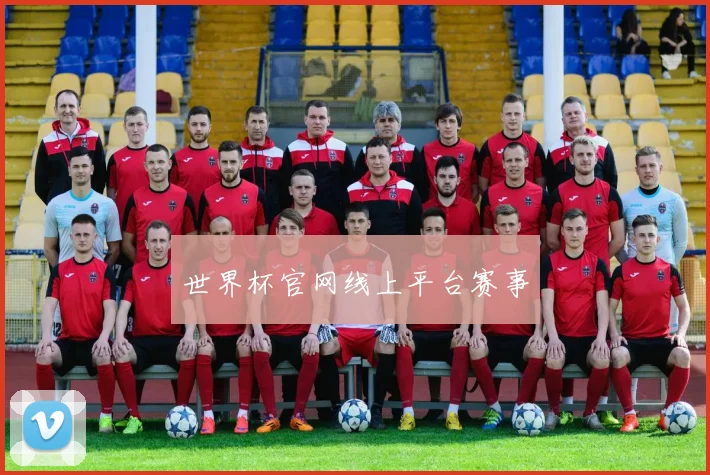 世界杯官网线上平台赛事