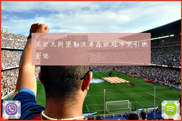 沃尔夫斯堡勒沃库森欧冠冲突引燃全场