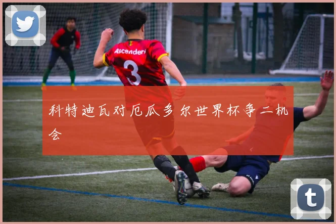 科特迪瓦对厄瓜多尔世界杯争二机会