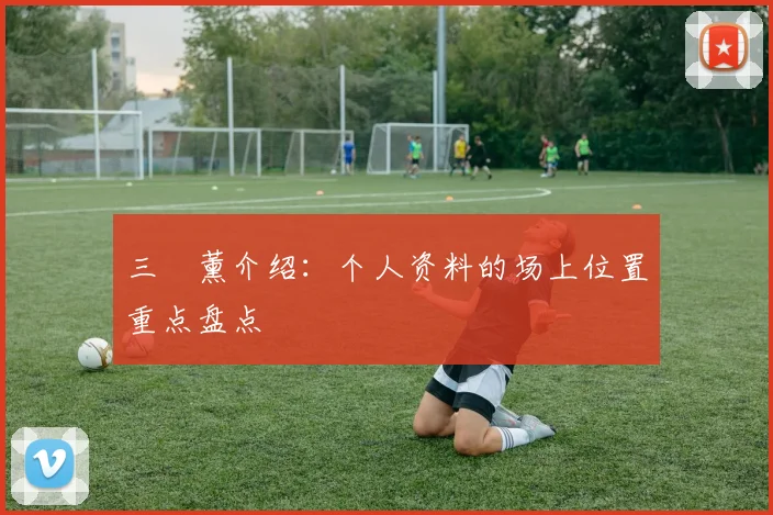 三笘薰介绍:个人资料的场上位置重点盘点