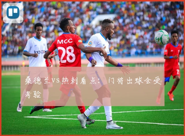 桑德兰vs热刺看点:门将出球会受考验