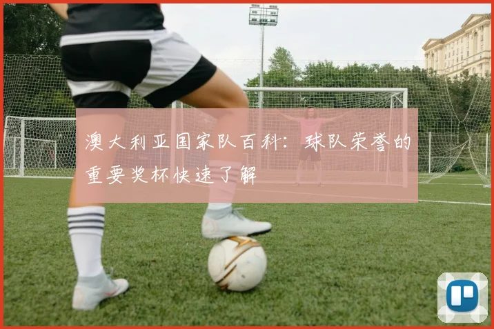 澳大利亚国家队百科：球队荣誉的重要奖杯快速了解